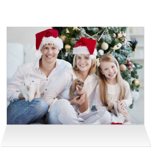 Oh Joy Folded Photo Holiday Card (Inside Horizontal (Top))