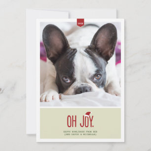 Oh Joy Funny Holiday Photo Card