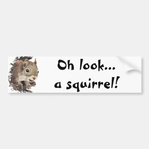 Oh look a squirrel Attention Humor Bumper Sticker