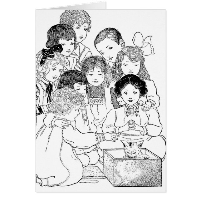Oh Look, Kittens Cards (Front)