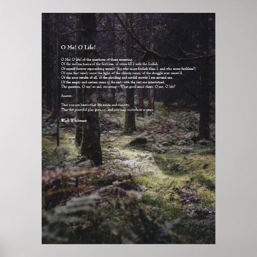 Oh Me Oh Life Walt Whitman Poem Wooded Path 3 Poster