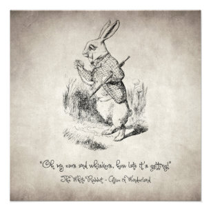 Oh my ears and whiskers photo print