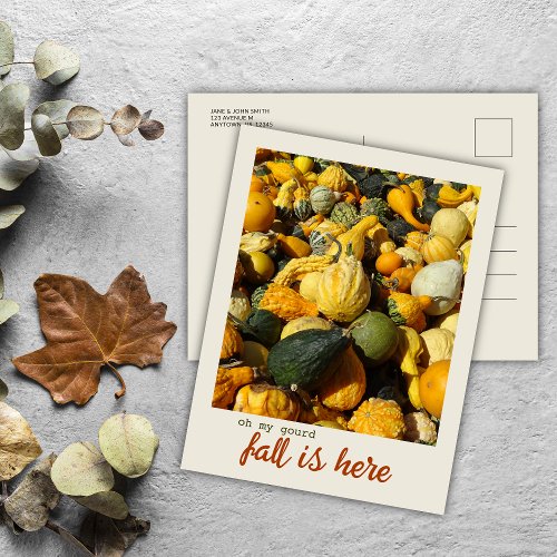 Oh My Gourd Seasonal Greeting Postcard