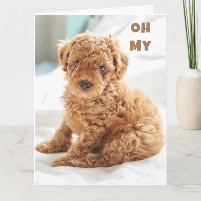 OH MY IT'S YOUR BIRTHDAY SO HAPPY FOR YOU! CARD (Front)