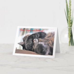 Oh no, I forgot your Birthday! Cat Happy beltaed Card
