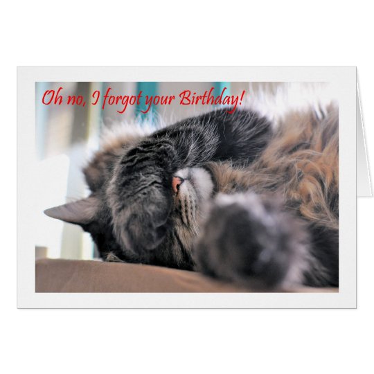 Oh no, I forgot your Birthday! Cat Happy beltaed Card | Zazzle