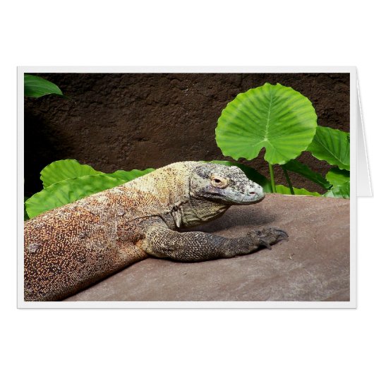 "Oh no...it's Komodo!" Cards (Front Horizontal)