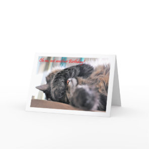 Oh no, not another Birthday! Cat Happy Birthday Card