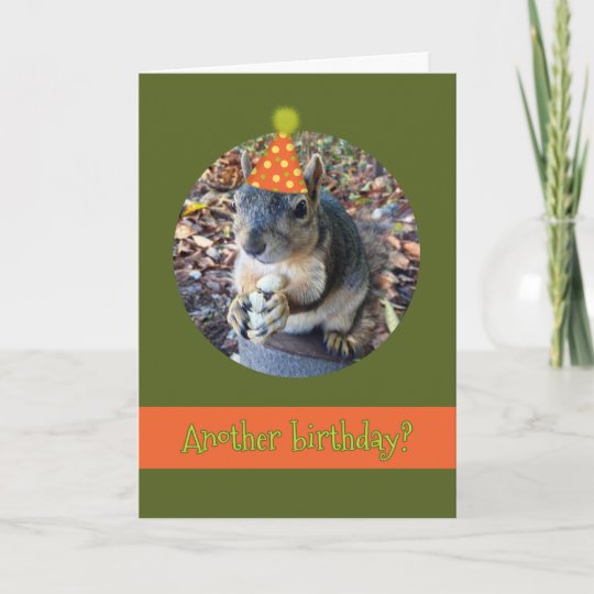 Oh, Nuts! Another Birthday with Funny Squirrel Card | Zazzle.com