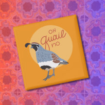 Oh Quail No Illustrated Gambel’s Quail