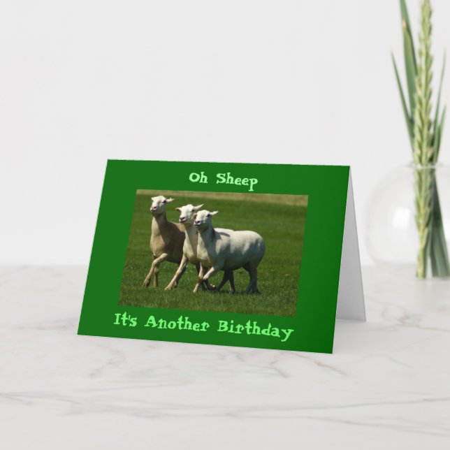 Oh Sheep!  Another Birthday Card (Front)