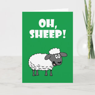 EWE'S 90 90th Birthday/Blank Inside Greeting Birthday Card Sheep 
