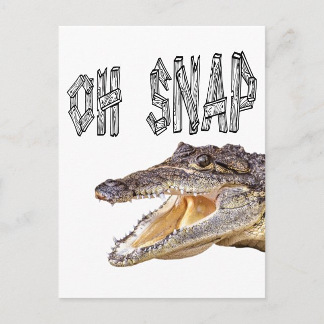 OH SNAP - Angry Gator Postcard (Front)