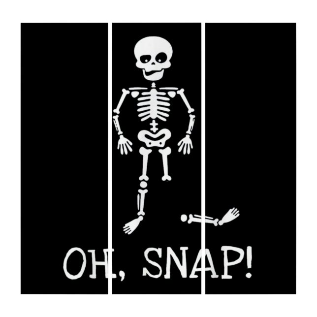 Oh Snap Skeleton Halloween Costume Triptych (Front)