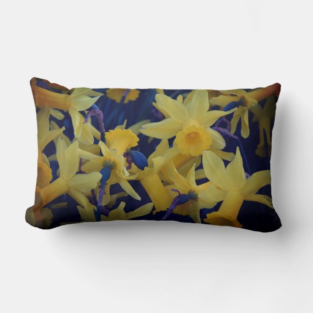 Oh So Many Daffodils Accent Lumbar Pillow (Front)
