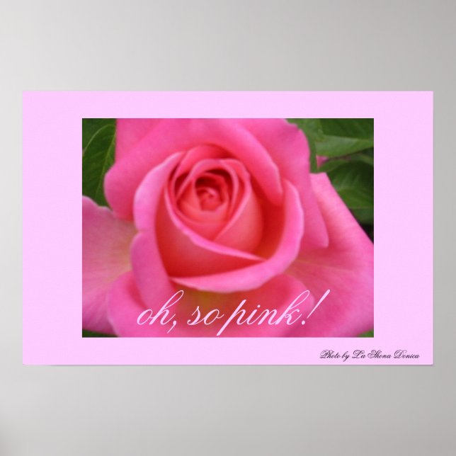 Oh, so pink! poster (Front)