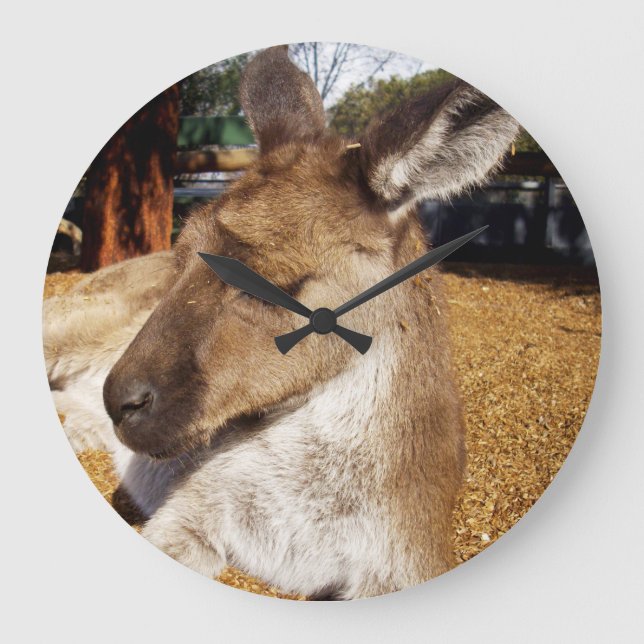 Oh So Sleepy Kangaroo, Large Clock (Front)