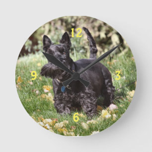 Oh Watch Round Clock