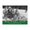 Oh What Fun Holiday Photo Card Postcard