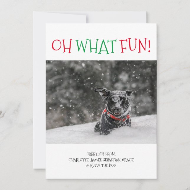 Oh What Fun Personalized Christmas Holiday Card (Front)