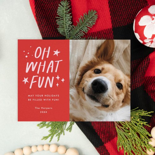 Oh What Fun Pets Christmas Holiday Card
