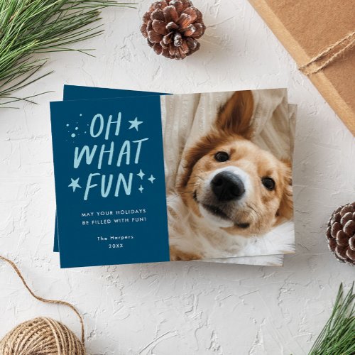 Oh What Fun Pets Photo Christmas Blue Holiday Card