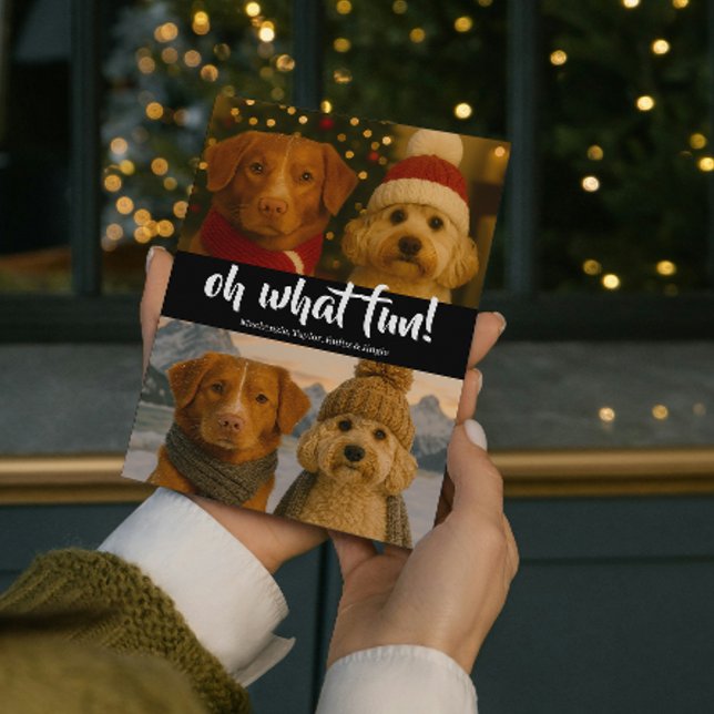 Oh What Fun Photo Christmas Personalized Holiday Card (Oh What Fun Photo Christmas Personalized Holiday Card by Ricaso. Christmas light pattern on back)