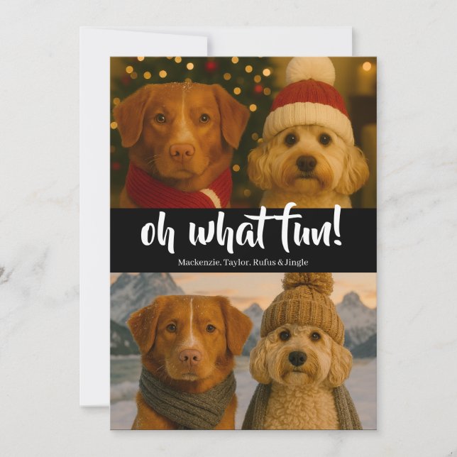 Oh What Fun Photo Christmas Personalized Holiday Card (Front)