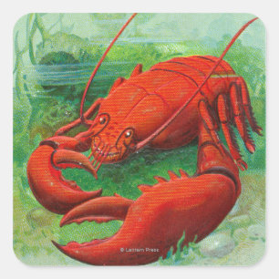 Oh You Lobster Scene Square Sticker
