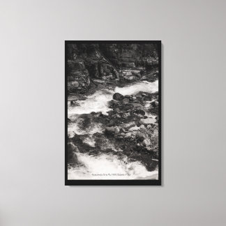 Ohanapecoshs River, WA Canvas Print