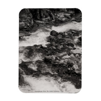 Ohanapecoshs River, WA Magnet