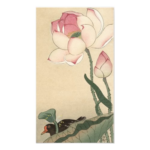 Ohara Koson Lotus Flower _ Japanese Art  Photo Print