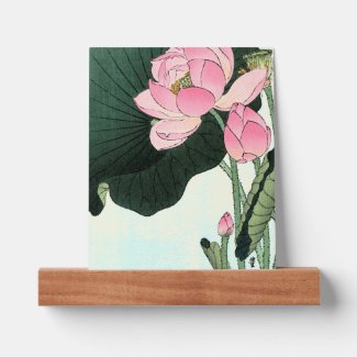 Ohara Koson, Lotus Flower - Japanese Fine Art 