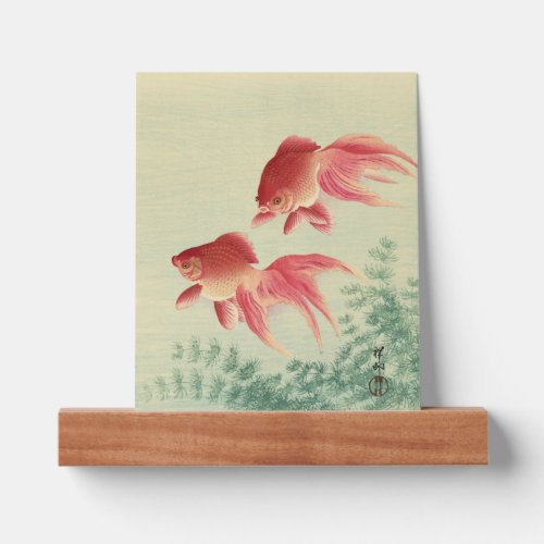 Ohara Koson Veiltail Goldfish _ Japanese Fine Art Picture Ledge