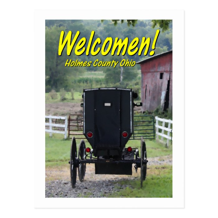 OHCA101.Amish Buggie   Holmes Co OH. Post Cards