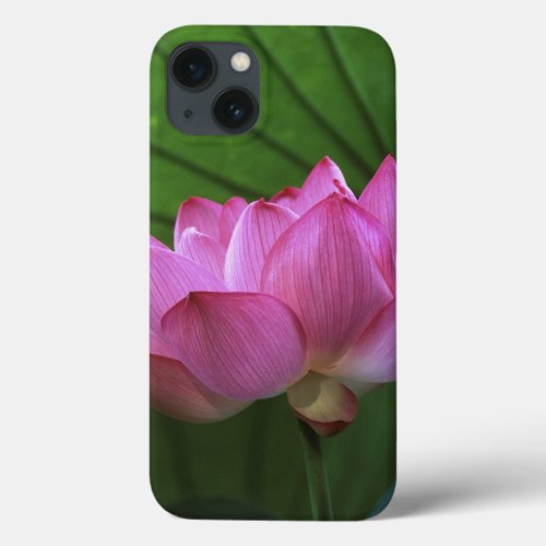 Ohga Lotus Sankei_en Garden Yokohama Japan iPhone 13 Case