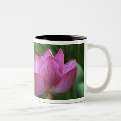 Ohga Lotus Sankei_en Garden Yokohama Japan Two_Tone Coffee Mug