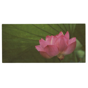 Ohga Lotus, Sankei-en Garden, Yokohama, Japan Wood USB Flash Drive