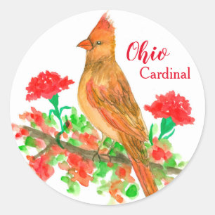 Ohio Bird Cardinal Red Carnations Flower Classic Round Sticker