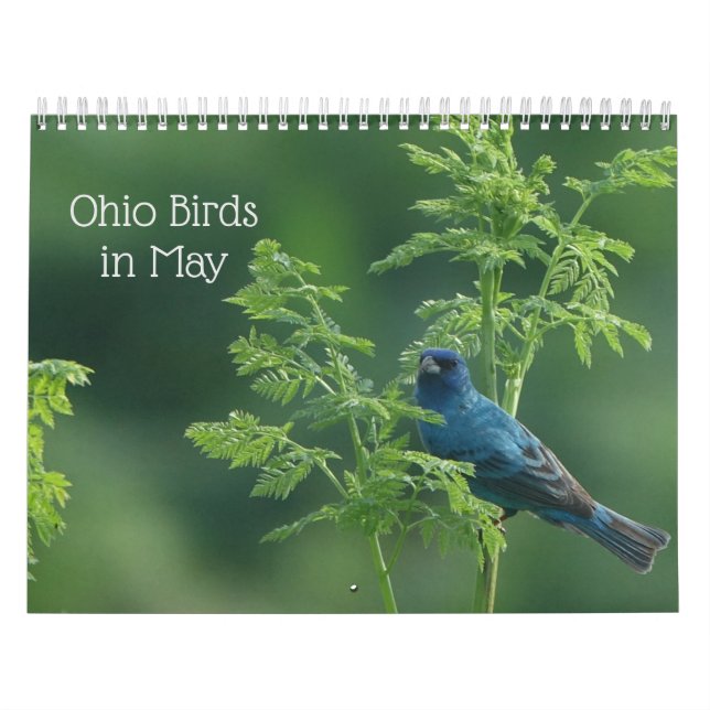 Ohio Birds in May Calendar (Cover)