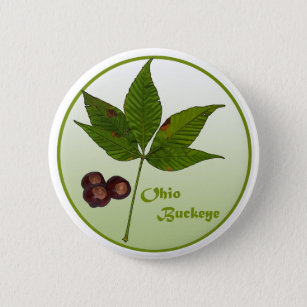 Ohio Buckeye Tree Button