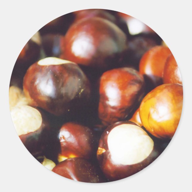 Ohio Buckeyes Classic Round Sticker (Front)