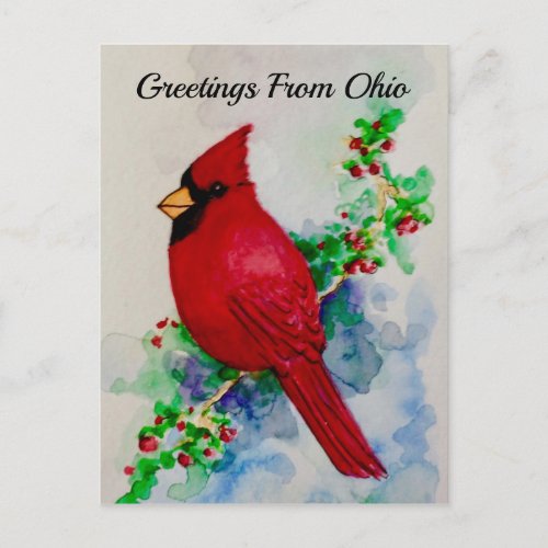 Ohio Cardinal State Bird Berries Watercolor Postcard