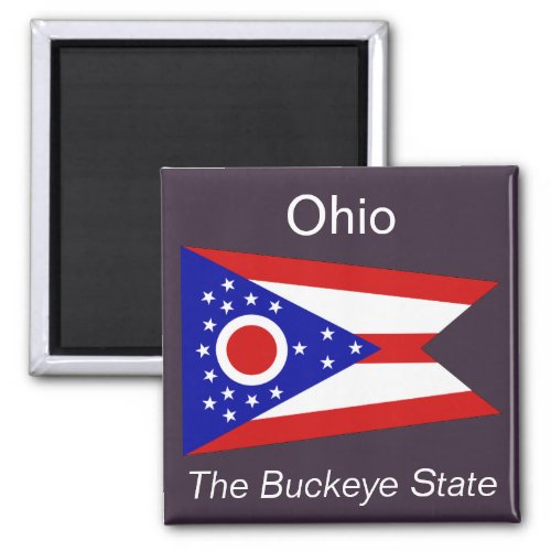 Ohio Flag Magnet