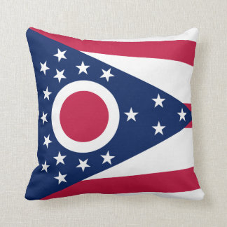 Ohio Flag pillow