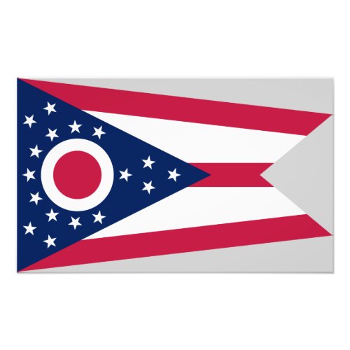 Ohio Flag US State Buckeye on American silver Photo Print