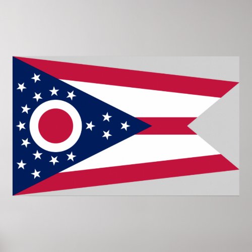 Ohio Flag US State Buckeye on American silver Poster