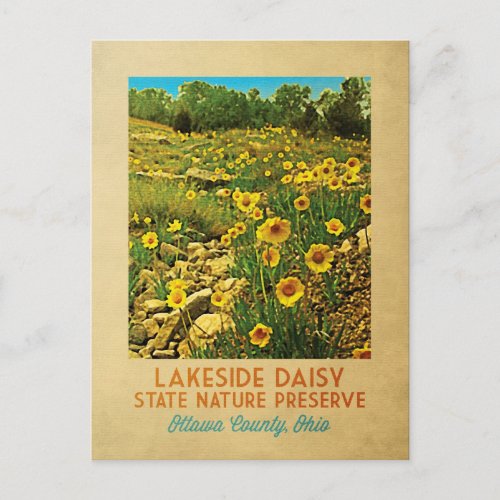 Ohio Lakeside Daisy Preserve Postcard