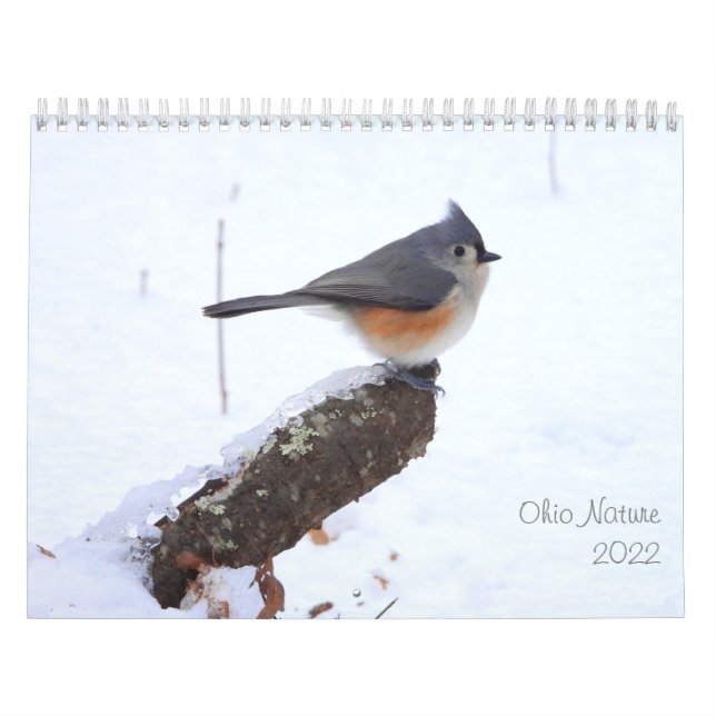 Ohio Nature 2022 Calendar (Cover)