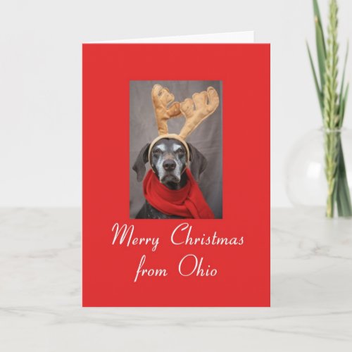 Ohio reindeer pointer merry x_mas holiday card